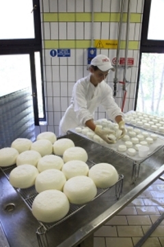 Formaggi di latte di capra